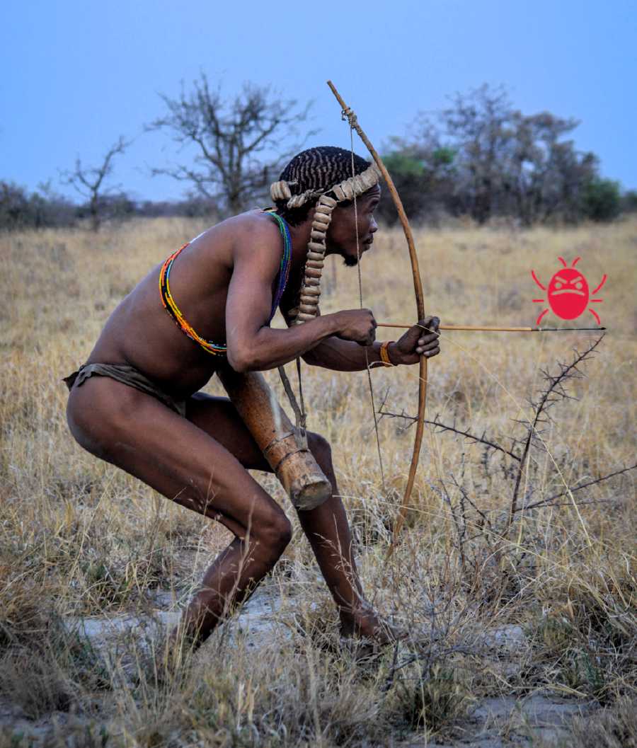 Bug Hunting en la Sabana