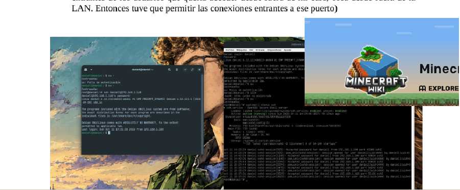 puertos-minecraft-fw-3.png